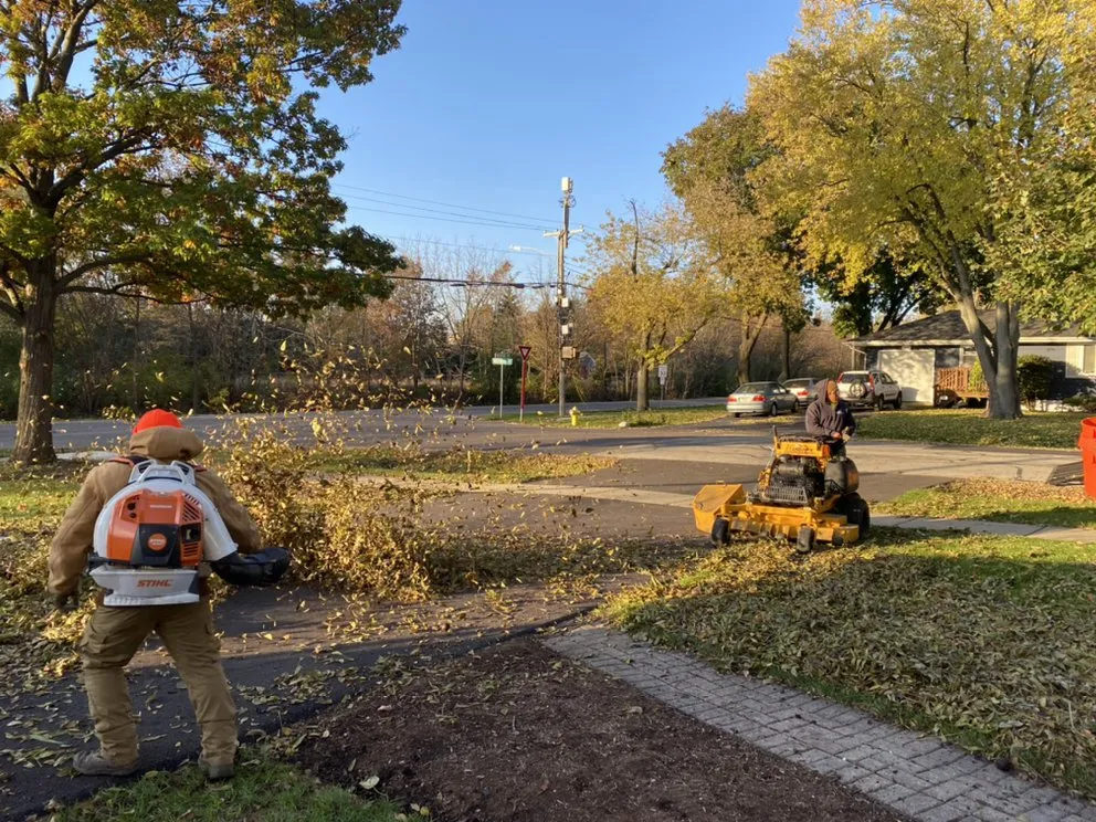 Expert yard cleanup service experts serving Westmont, IL - Roja's Landscaping