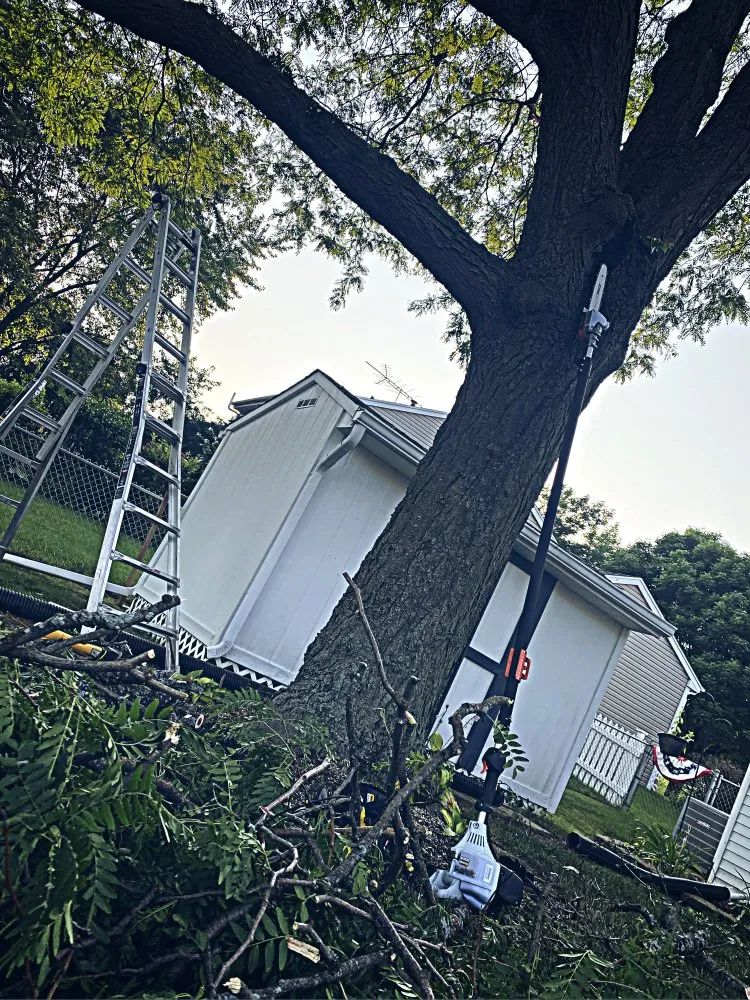 Affordable lawn care service for homes across Westmont, IL - Roja's Landscaping