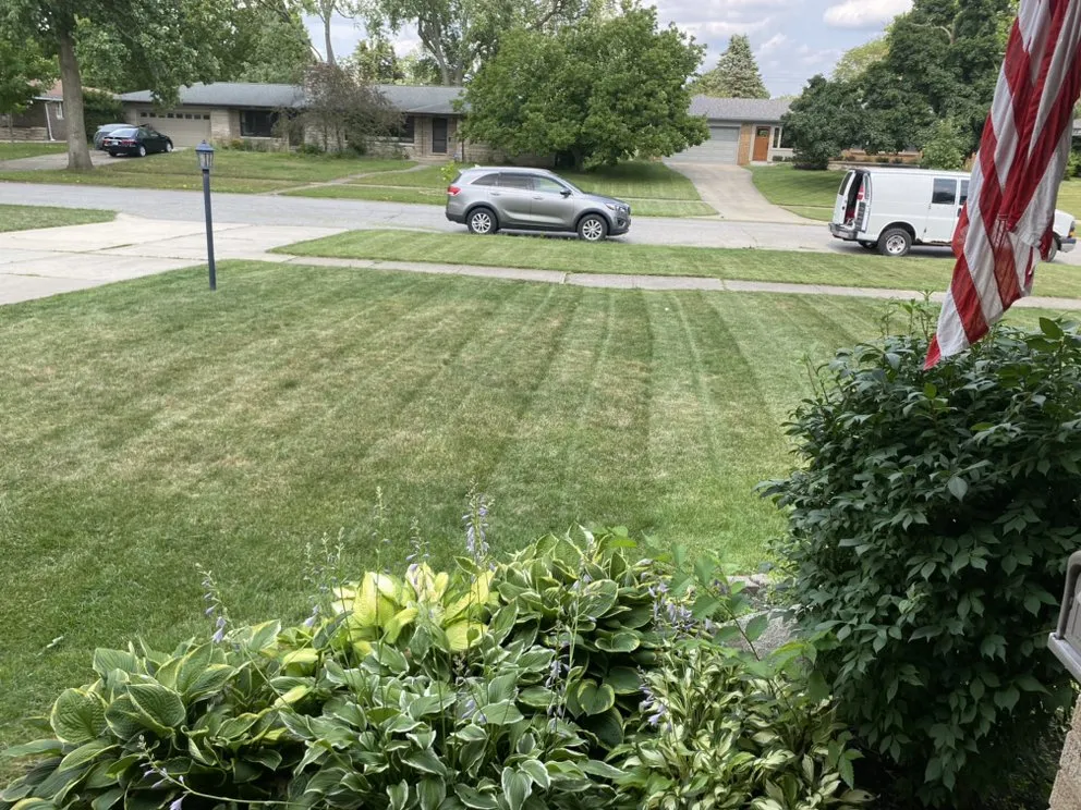 Local landscaping services experts serving South Bend, IN - Rojas Lawn and Handyman Services