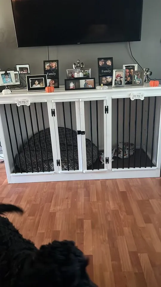 Professional residential landscaping for year-round maintenance in South Bend, IN by Rojas Lawn and Handyman Services