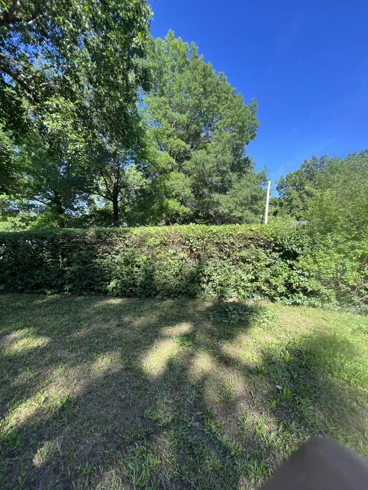 Reliable garden landscaping for homes across Carthage, MO - Rojas Lawn Care Services