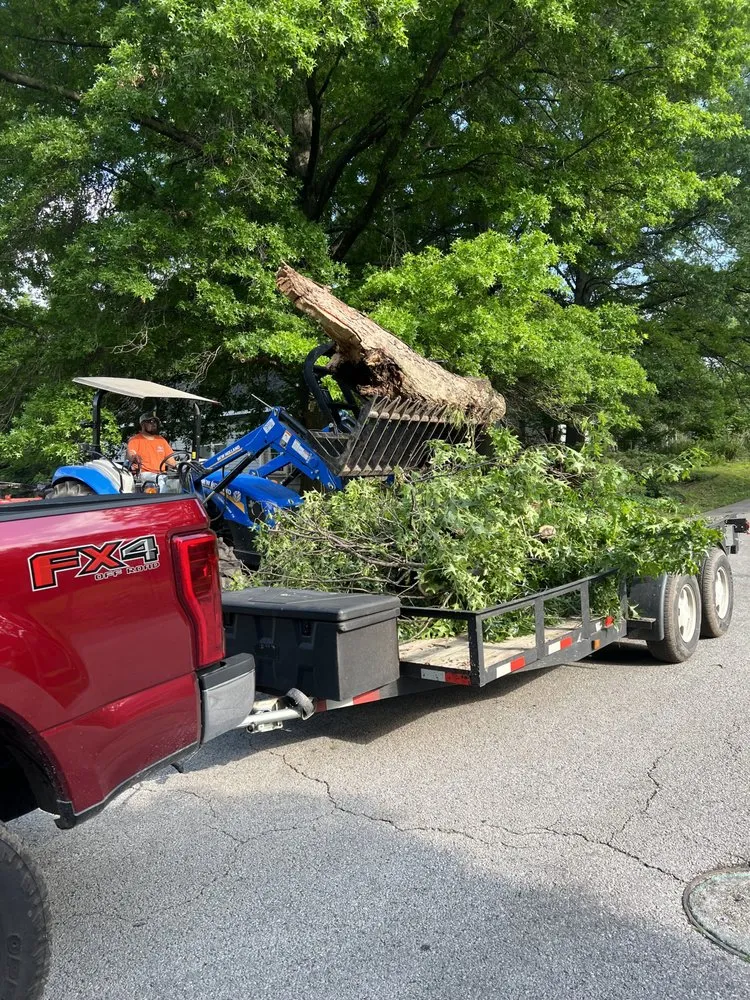 Local yard cleanup service in Carthage, MO - Rojas Lawn Care Services