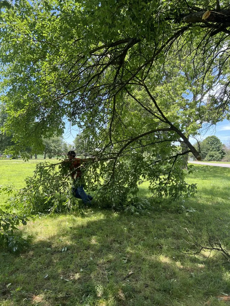 Top-rated landscaping services near you across Carthage, MO - Rojas Lawn Care Services