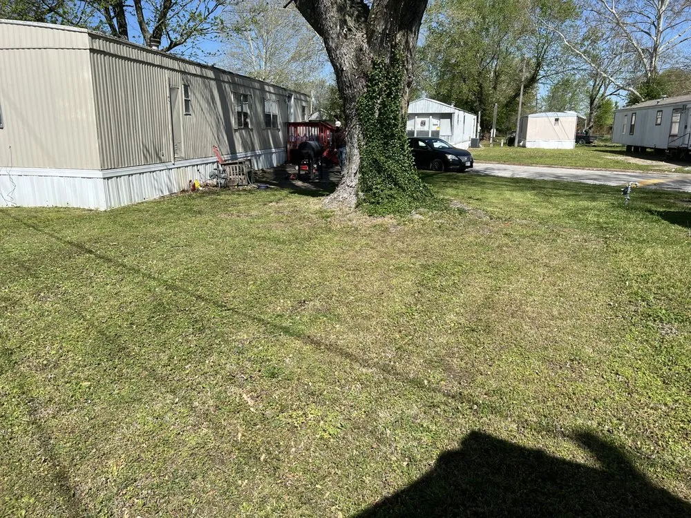 Expert landscape design in Carthage, MO by Rojas Lawn Care Services