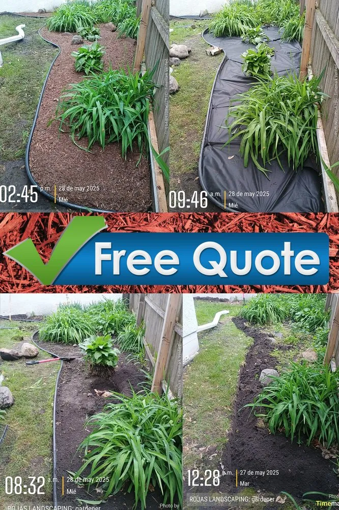 Trusted yard cleanup service in st paul, MN - Rojas Lawn Care