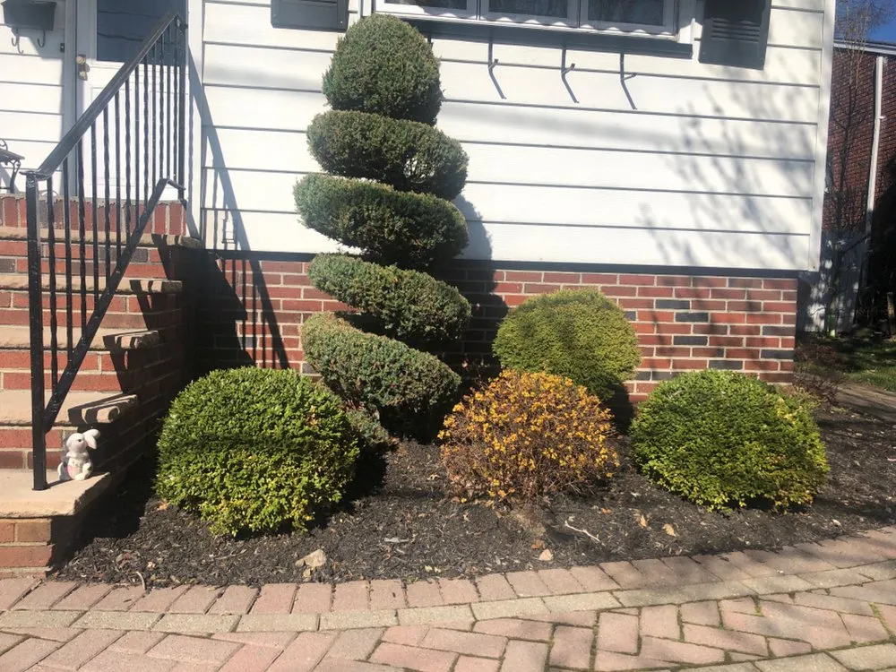 Reliable yard maintenance experts serving Lyndhurst, NJ - Rojas Lawn Maintenance