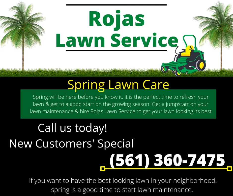 Professional yard maintenance in Pahokee, FL by Rojas Lawn Service