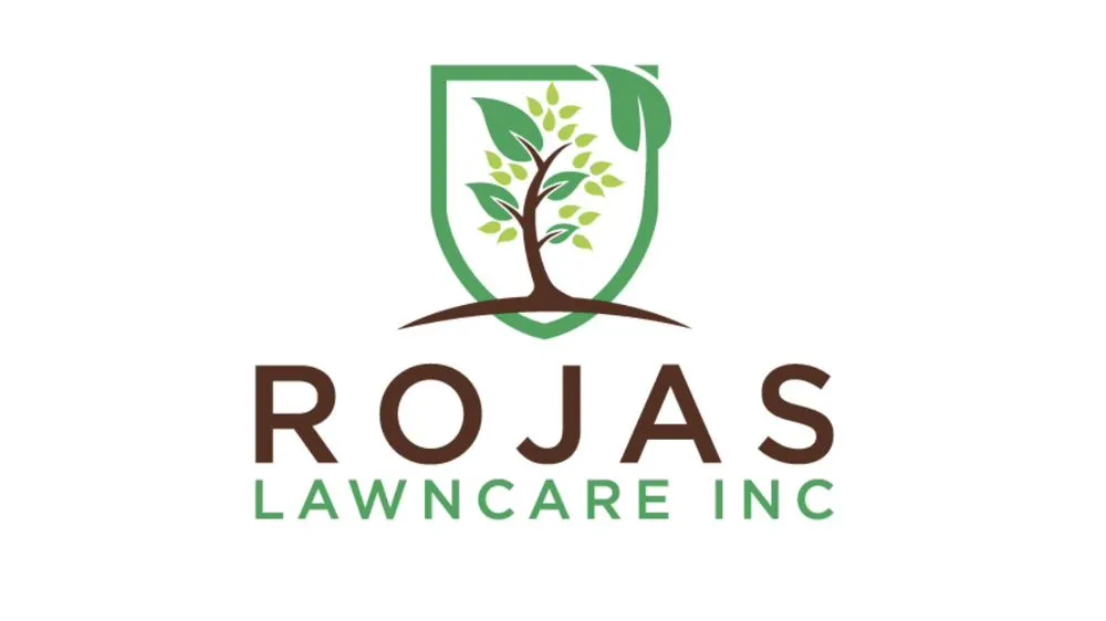 Custom yard cleanup service for homes across Harvard, IL - Rojas Lawncare