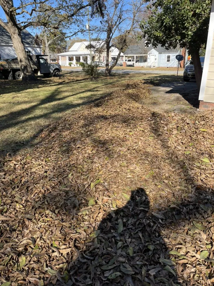 Expert lawn mowing service for homes in Selma, NC by Rojas Pro Services