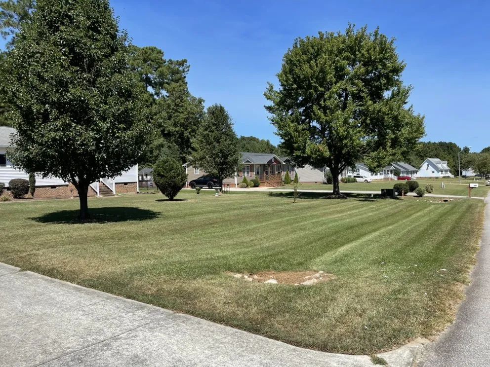Local landscape design in Selma, NC - Rojas Pro Services