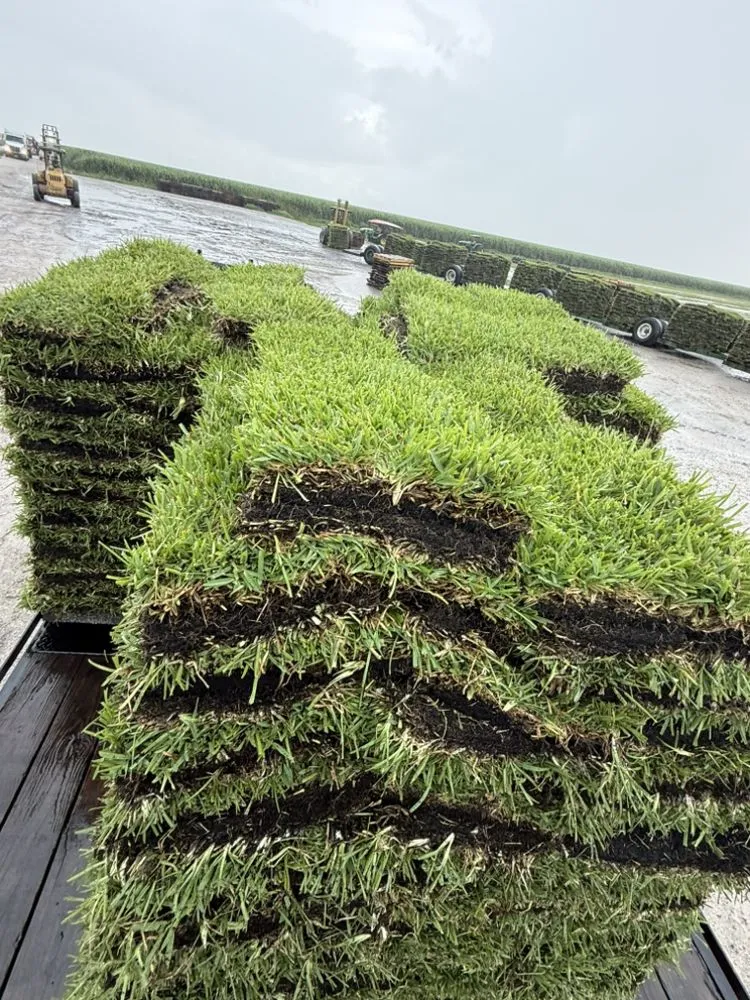 Affordable lawn care service in Loxahatchee, FL by Rojas Sod Services