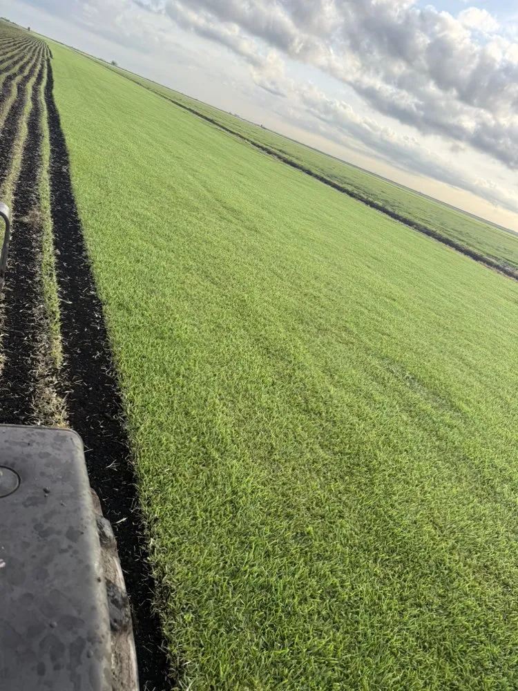 Custom lawn mowing service for year-round maintenance across Loxahatchee, FL - Rojas Sod Services