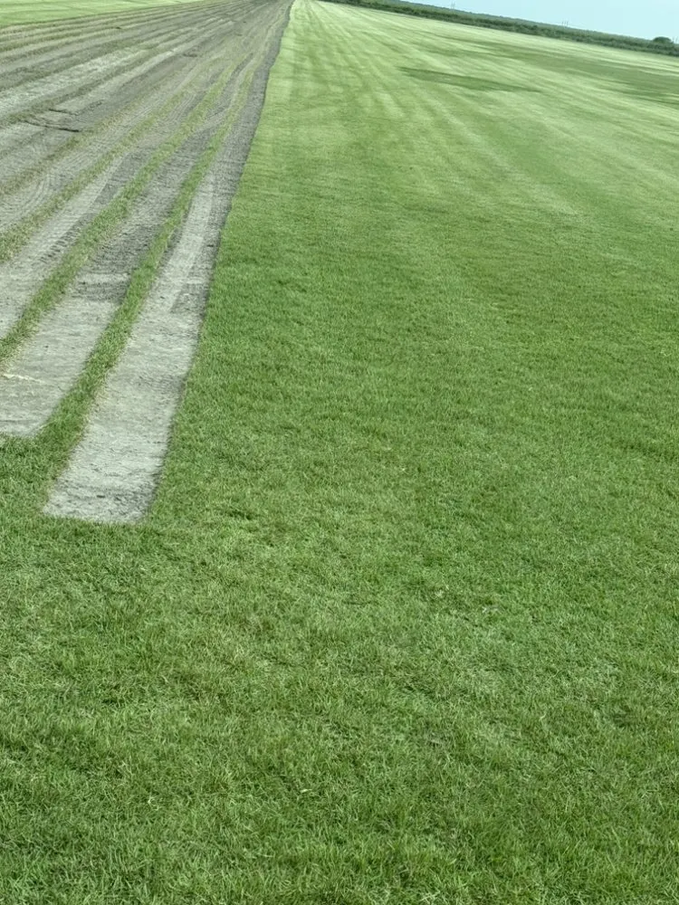 Affordable garden landscaping experts serving Loxahatchee, FL - Rojas Sod Services