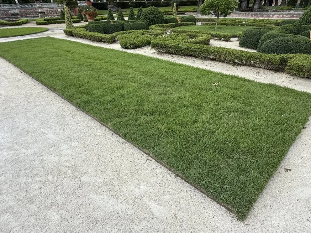 Top-rated residential landscaping in Loxahatchee, FL by Rojas Sod Services