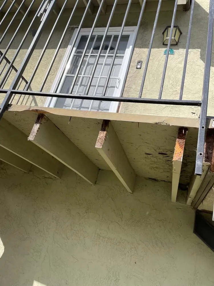 Expert yard cleanup service in San Marcos, CA by Rojaz Works