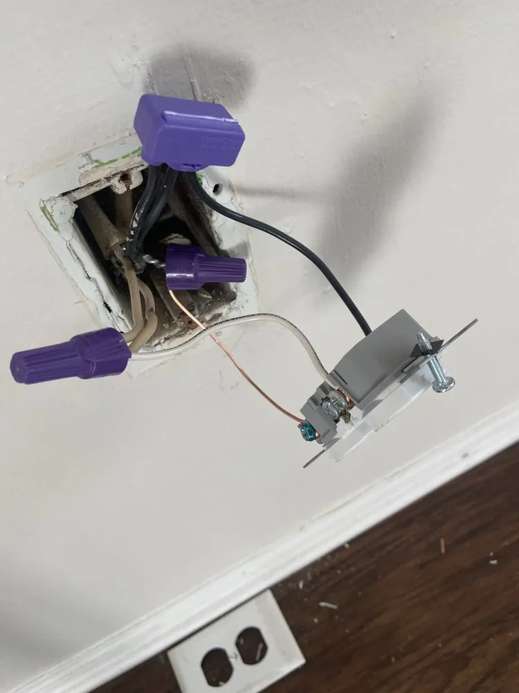 Affordable garden landscaping for year-round maintenance across Jacksonville, FL - Rojo's Landscaping