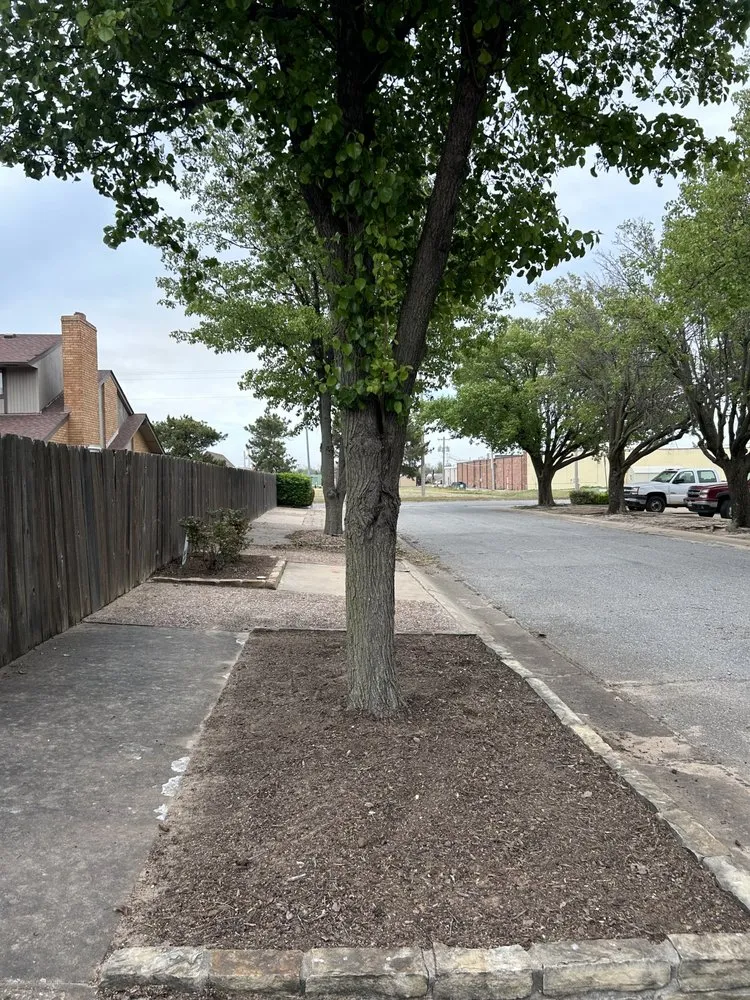 Custom lawn care service in Enid, OK by Rojo’s Lawn Services