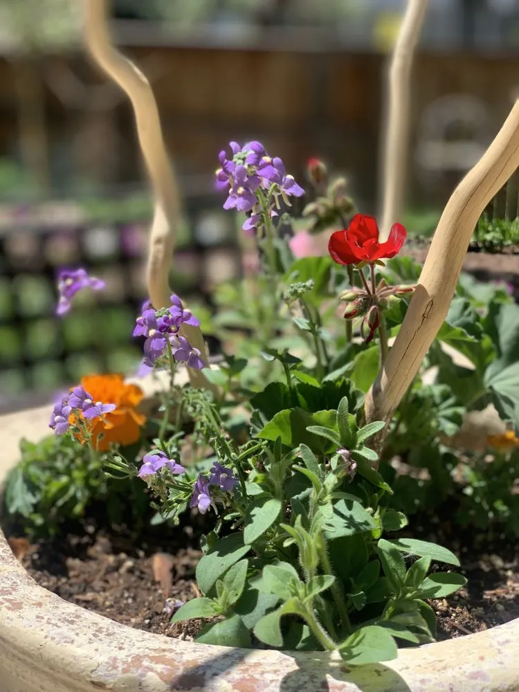 Custom landscape installation experts serving Sheridan, CO - Roke’Aker Garden n Lawn Service