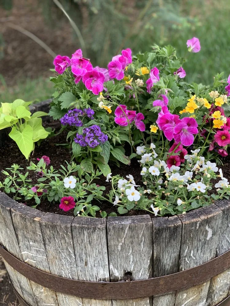 Local residential landscaping near you across Sheridan, CO - Roke’Aker Garden n Lawn Service