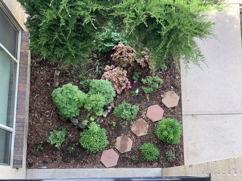 Trusted lawn care service with custom design across Sheridan, CO - Roke’Aker Garden n Lawn Service