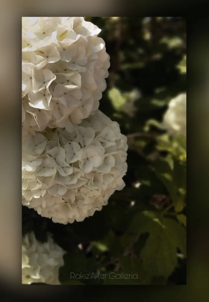 Professional landscape installation for year-round maintenance in Sheridan, CO by Roke’Aker Garden n Lawn Service