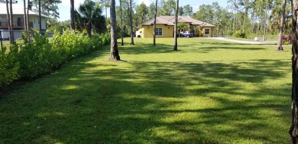 Trusted landscaping services experts serving Naples, FL - Rokita Lawn Services