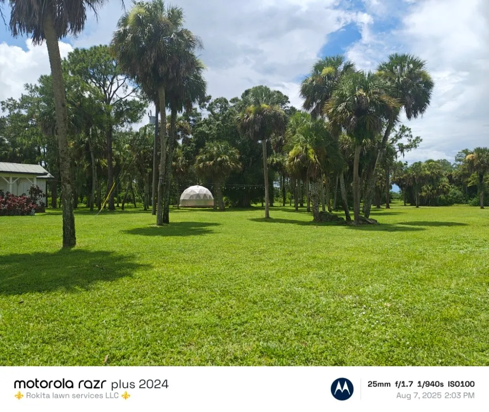 Custom landscape installation in Naples, FL by Rokita Lawn Services