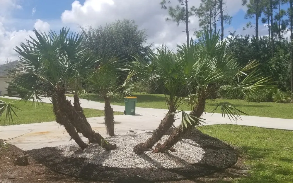 Top-rated yard maintenance in Naples, FL by Rokita Lawn Services