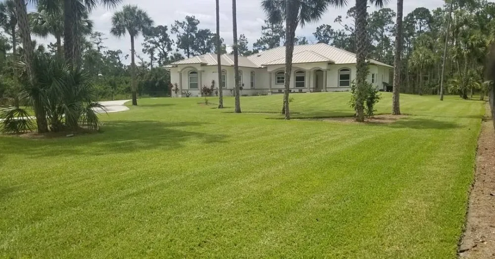 Expert outdoor landscaping in Naples, FL by Rokita Lawn Services