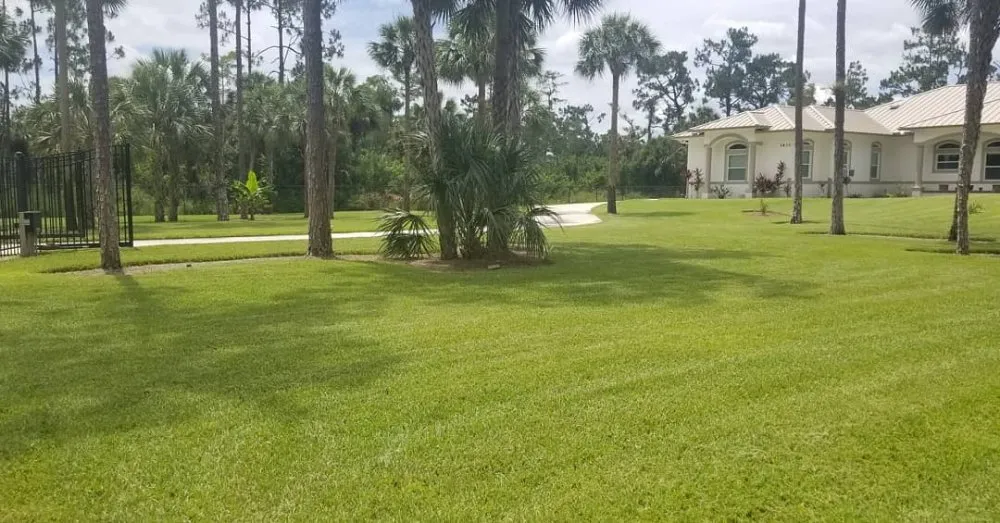 Reliable yard cleanup service experts serving Naples, FL - Rokita Lawn Services