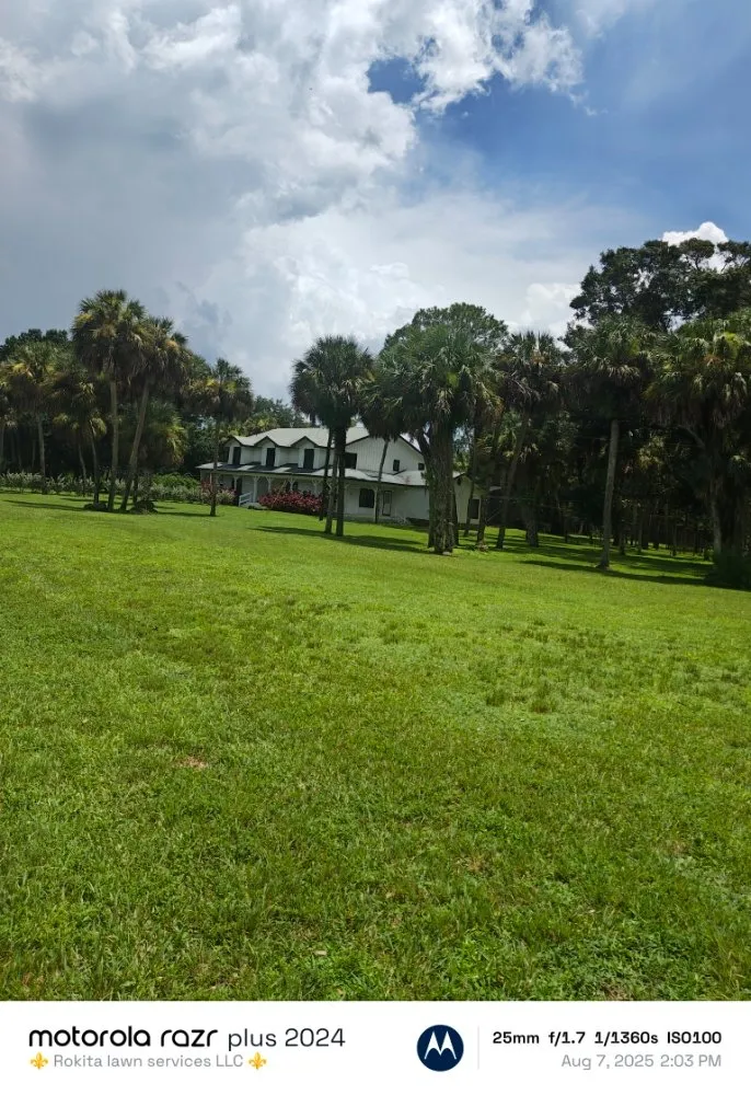 Expert yard maintenance for outdoor upgrades in Naples, FL by Rokita Lawn Services