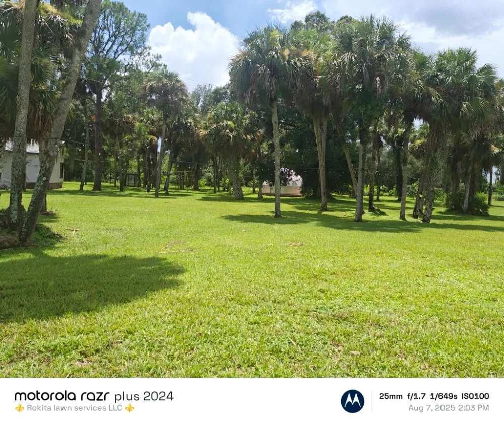 Top-rated outdoor landscaping experts serving Naples, FL - Rokita Lawn Services