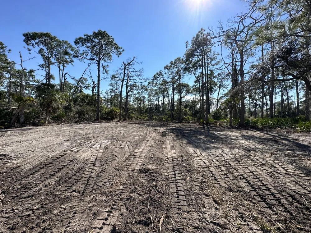 Trusted landscape installation in Port Charlotte, FL - Roko Construction & Land Services