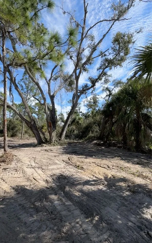 Expert yard cleanup service experts serving Port Charlotte, FL - Roko Construction & Land Services