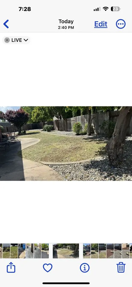 Professional landscape installation in Fairfield, CA by Rolando Bay Area