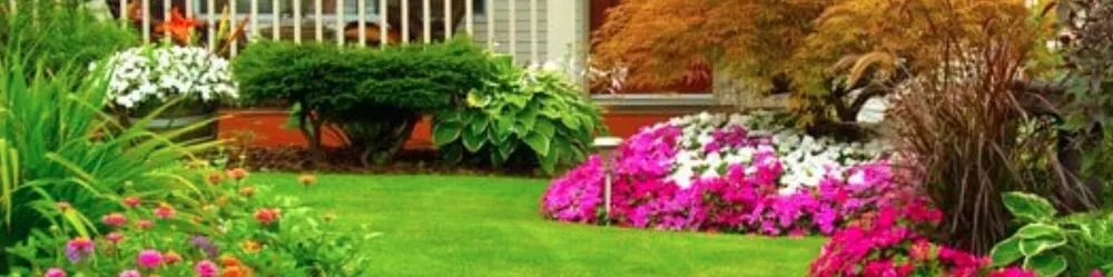 Top-rated yard maintenance in Belfair, WA by Rolando Landscaping