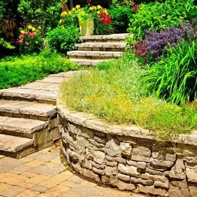 Rolando Landscaping Logo