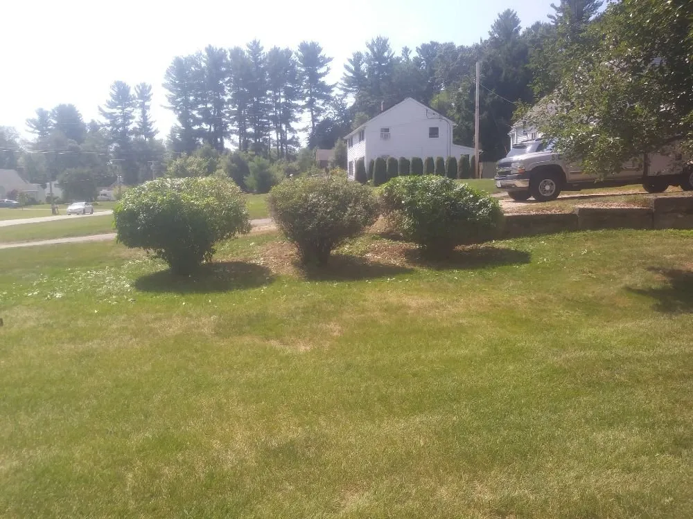 Trusted landscape design experts serving Springfield, MA - Rolando Landscaping
