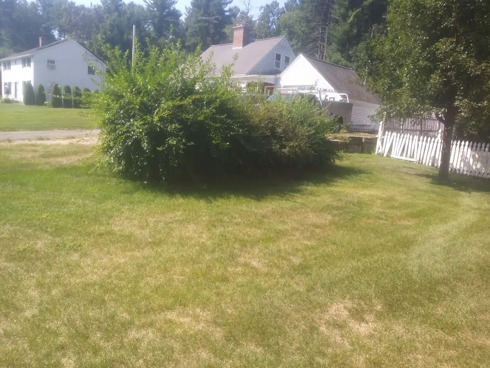 Reliable yard maintenance experts serving Springfield, MA - Rolando Landscaping