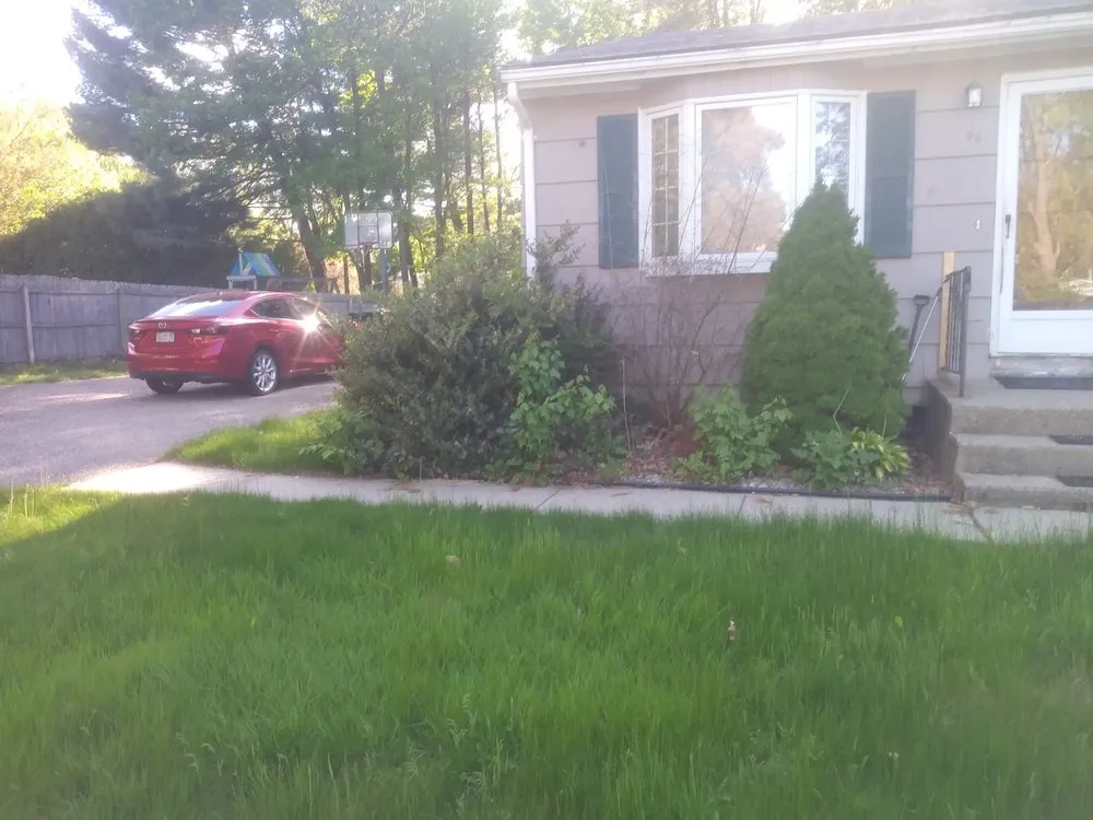 Affordable yard cleanup service in Springfield, MA by Rolando Landscaping