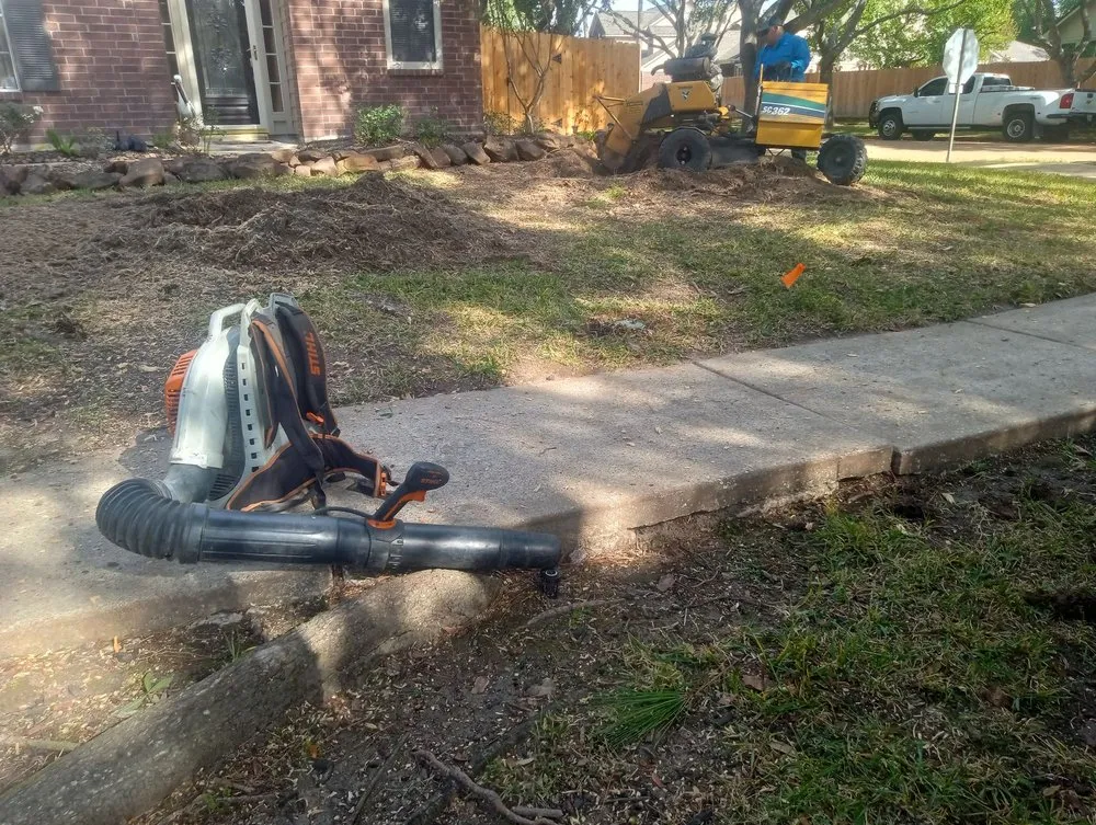 Affordable yard cleanup service in Pearland, TX by Rolando Mc Landscaping