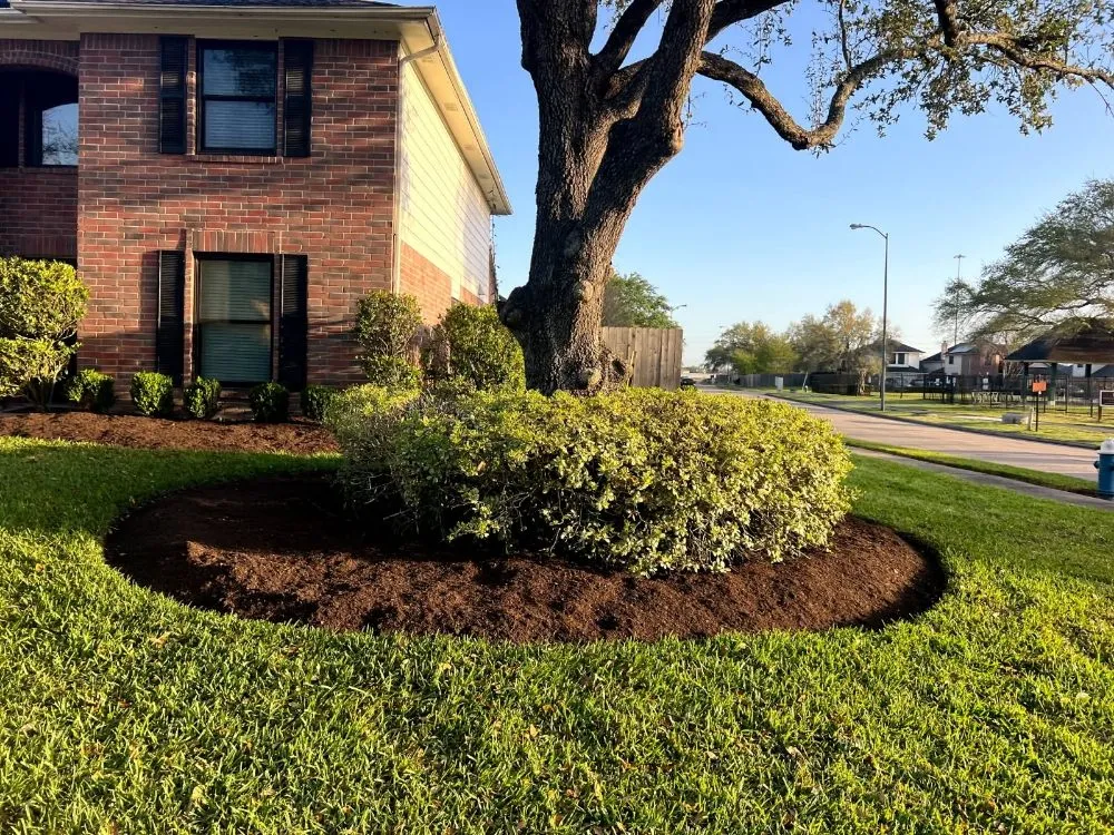 Custom outdoor landscaping in Pearland, TX by Rolando Mc Landscaping