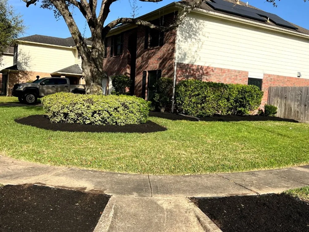 Local lawn care service experts serving Pearland, TX - Rolando Mc Landscaping