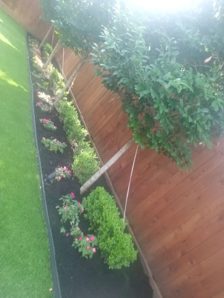 Trusted residential landscaping near you in Pearland, TX by Rolando Mc Landscaping