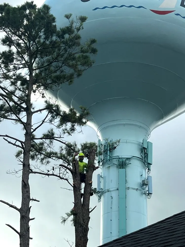 Top-rated residential landscaping in Pearland, TX by Rolando Mc Landscaping