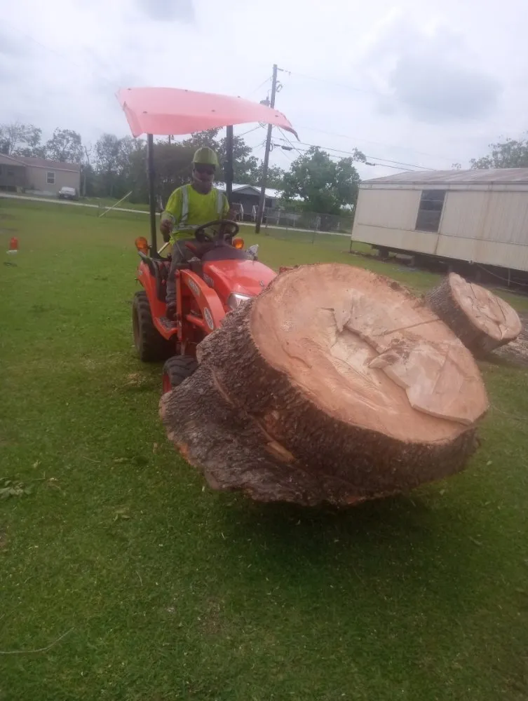 Expert yard cleanup service in Pearland, TX by Rolando Mc Landscaping