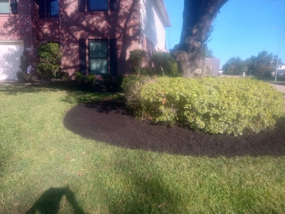 Trusted yard cleanup service experts serving Pearland, TX - Rolando Mc Landscaping