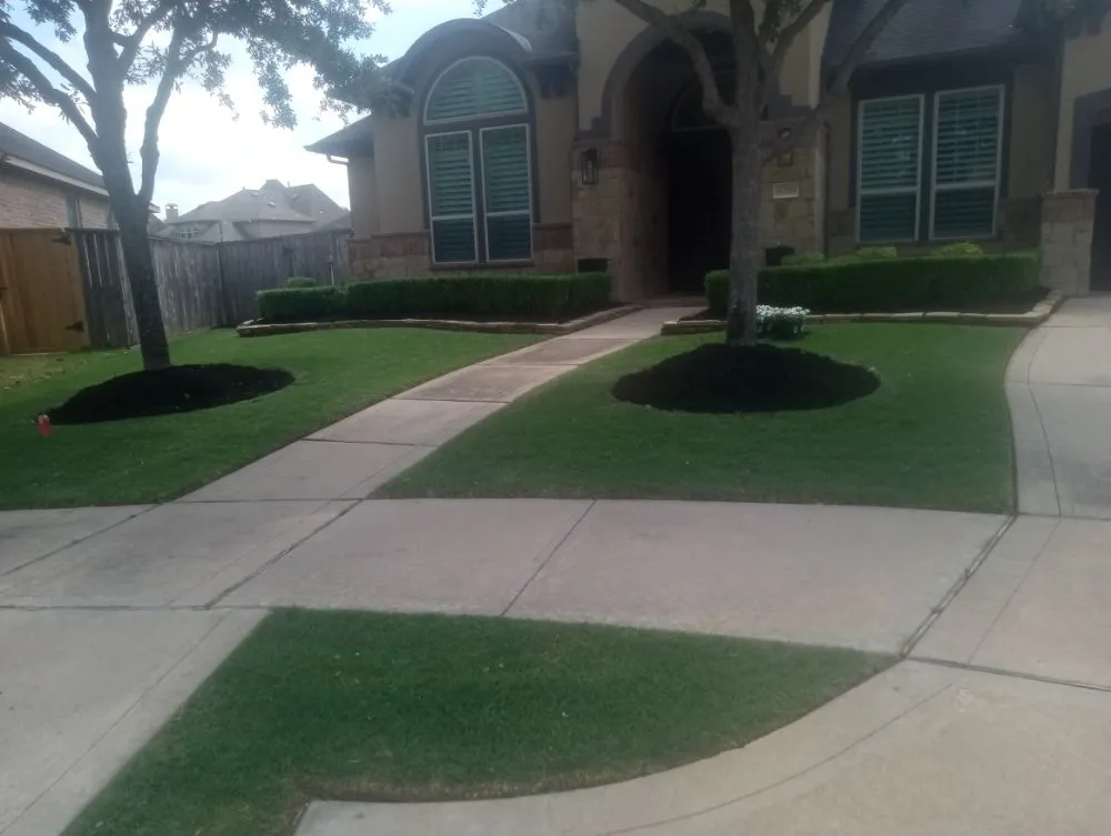 Expert lawn care service in Pearland, TX - Rolando Mc Landscaping