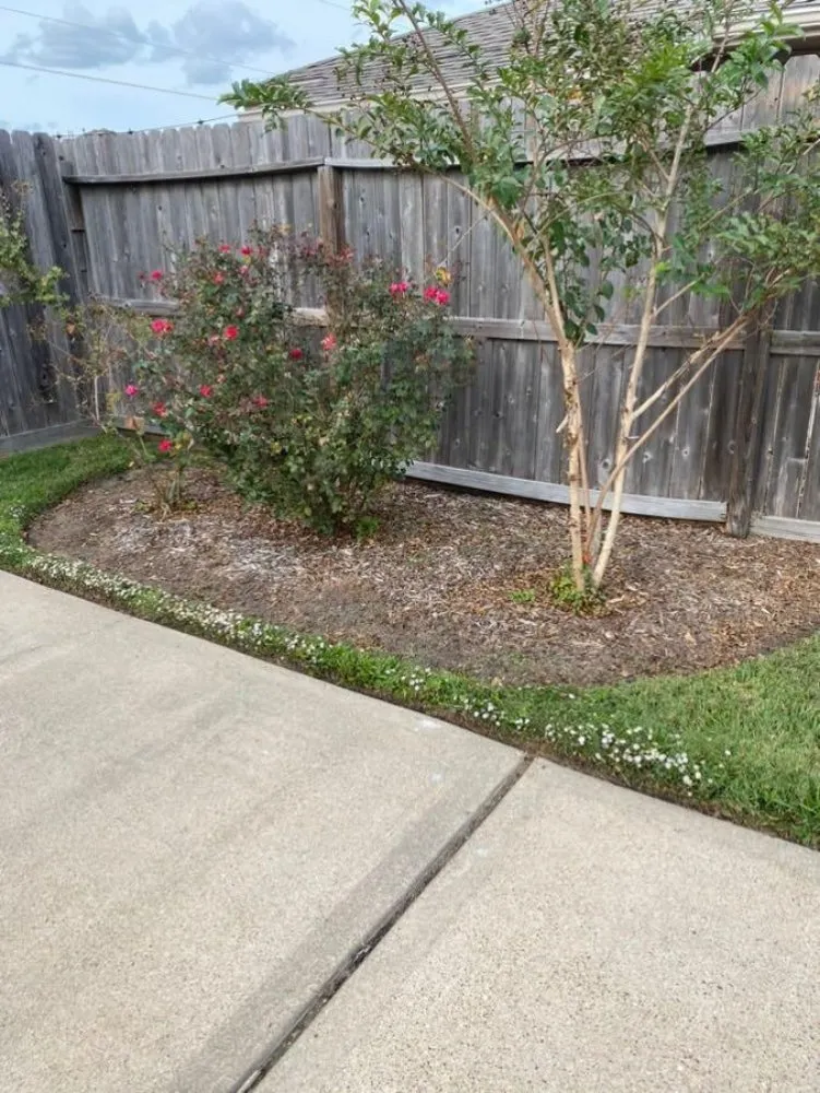 Expert landscape design in Houston, TX by Rolando Najera Lawn Care And Maintenance
