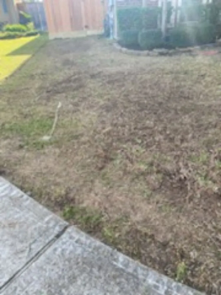 Affordable garden landscaping near you in Houston, TX by Rolando Najera Lawn Care And Maintenance